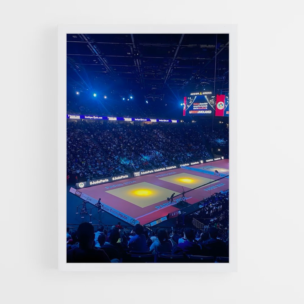 Poster Esprit de Judo (vue 3)